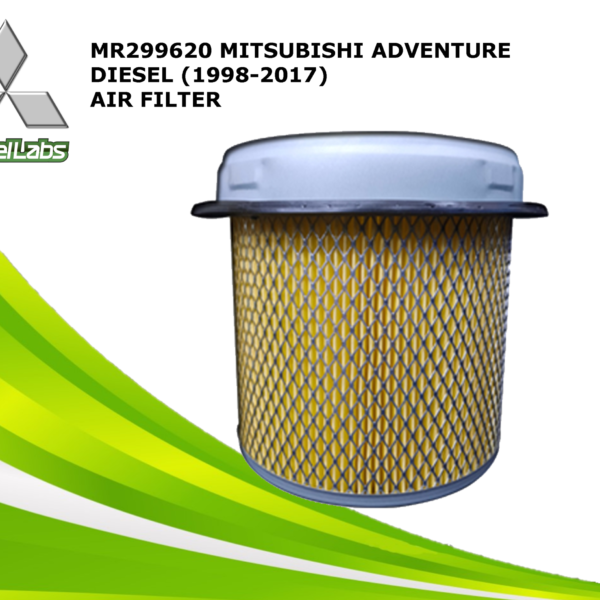 AIR FILTER (MR299620)