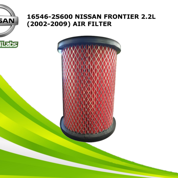 AIR FILTER (16546-2S600)