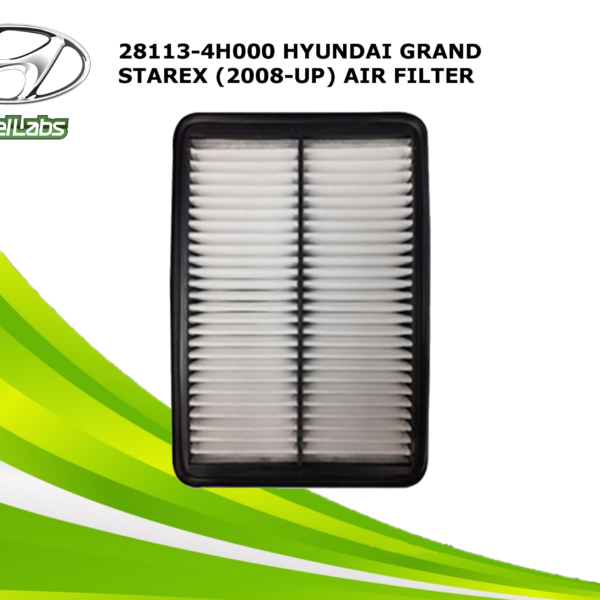 AIR FILTER (28113-4H000)