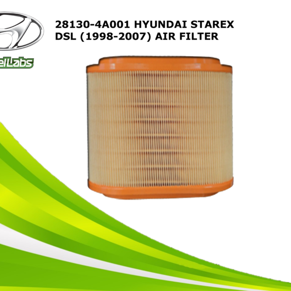 AIR FILTER (28130-4A001)