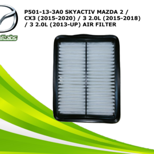 AIR FILTER (P501-13-3A0)